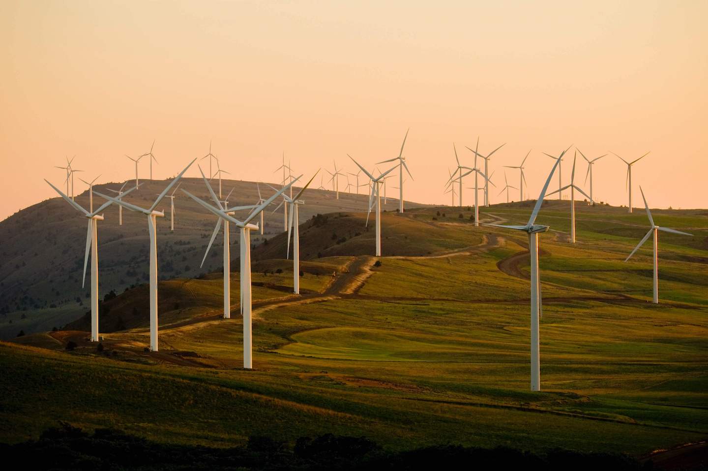 wind turbines on a hill in the sunset